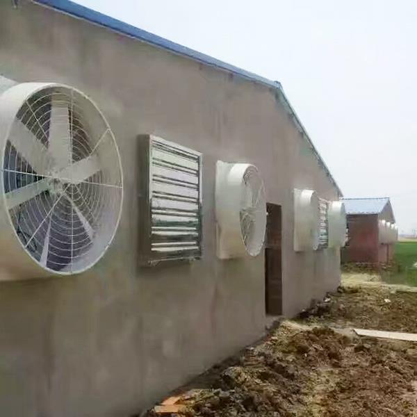 養殖青青草成人网.jpg