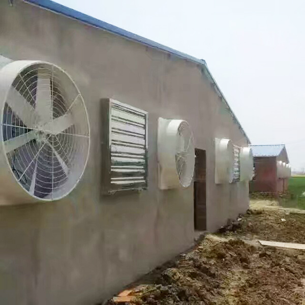 養殖青青草成人网的相關知識